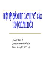 lt do thi hs bac nhat