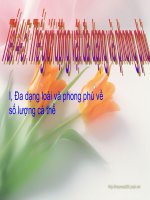 MO HINH SINH HOC 7-  DU MOI LOAI