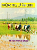 Tiết 59: Phương trình quy về phương trình bậc hai.