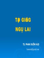 Bài giảng TẠO GIỐNG NGÔ LAI