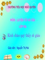 - LTVC3- LỄ HỘI - DẤU PHẨY