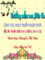 PTNT-Nhận biết Hoa hồng, hoa cúc_N.T.Nga D2
