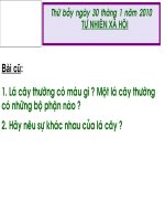 khả năng kì diệu của lá cây