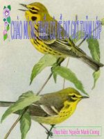 bài tập lịch sử tiết 45