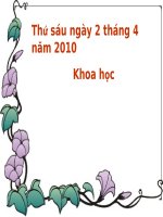 tuan 27- cay con moc len tu hat