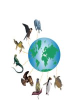 LOAI VAT SONG O DAU?