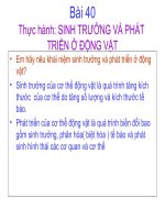 Bài 40: Thực hành