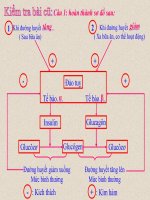 Tiết 61:Tuyến sinh dục