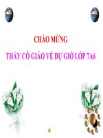 tiết 61 luyện tập cộng trừ đa thức 1 biến