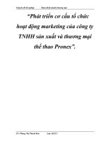 Phát triển cơ cấu tổ chức hoạt động marketing của công ty TNHH sản xuất và thương mại thể thao Pronex