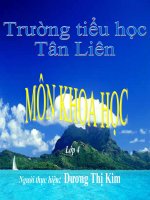 Động vật ăn gì để sống ?