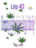 Bài Âm thanh trong cuộc sống