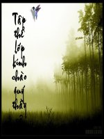 Bài 193 Giảm Phân