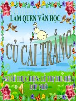 làm quen văn học.củ cải trắng