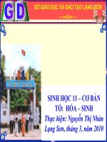 Bài 42: Sính sản hữu tính ở TV