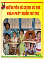 nhung van de chung ve tre cham phat trien tri tue