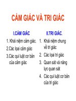 TAM LI HOC - CAM GIAC VA TRI GIAC