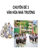 Bồi dưỡng Hiệu trưởng VN-SINGAPORE -CHUYÊN ĐỀ 3 :DOI MOI LANH  DAO VA QUAN LY TRUONG PHO THONG