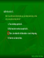 Văn bản : Động Phong Nha