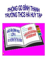 Bài 48 Vai trò của TV đối với con người