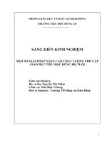 skkn một số giải pháp nâng cao phổ cập giáo dục tiểu học đúng độ tuổi