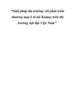 Giải pháp thị trường với phát triển thương mại ô tô tải Kamaz trên thị trường nội địa Việt Nam
