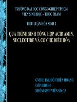 quá trình sinh tổng hợp acid amin ,nucleotid