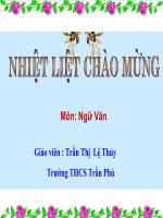 Cầu Long Biên- Chứng nhân lịch sử(đã chỉnh sửa)