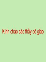 KE CHUYEN: TOM CANG VA CA CON