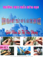 bài 33-gây đột biến nhân tạo trong chọn giống