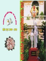 BỨ THU CỦA THỦ LĨNH DA ĐỔ