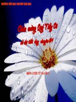 Từ ngữ về nghề nghiệp