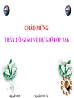 Tiết 62 Nghiệm của đa thức một biến ĐS 7