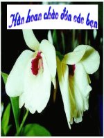 Các mô hình hoạt động Đội TNTP HCM