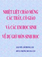hoat dong than kinh cap cao o nguoi