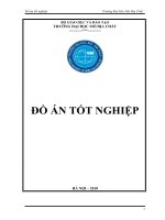 Đồ án tốt nghiệp:Nghiên cứu đặc điểm cấu trúc địa chất và thiết kế giếng khoan tìm kiếm dầu khí 1X cho cấu tạo X thuộc Miền Võng Hà Nội