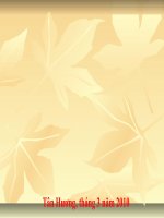 HD sử dụng Violet soạn giáo án điện tử