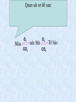 Sinh 8 thi cap tinh 06-07 - Tiết 21