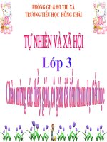 TRÁI ĐẤT VÀ QUẢ ĐỊA CẦU