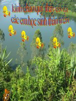 Bài 22 Quy trinh to chuc bua an tiet 3