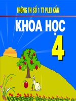 Khoa học 4: Động vật cần gì để sống