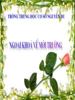 NGOẠI KHÓA VỀ MÔI TRƯỜNG