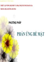 xác định hmf và diataza trong hoa hướng dương