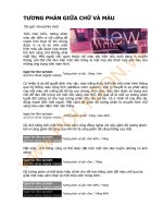 Tương phản giữa chữ và màu trong thiết kế đồ họa