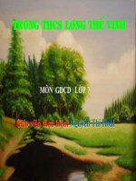 Bài 15 (tiết 1) : Bảo vệ di sản văn hóa