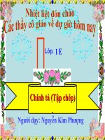 Chính tả: Loài cá thông minh Lớp 1