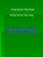 Công việc ở nhà