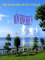 Bài 65: Tổng kết chương trình toàn cấp