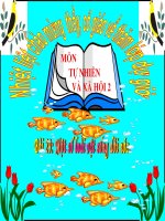 Một số loài vật sống duoi nuoc