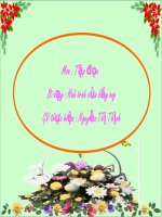 hanh trinh cua bay ong